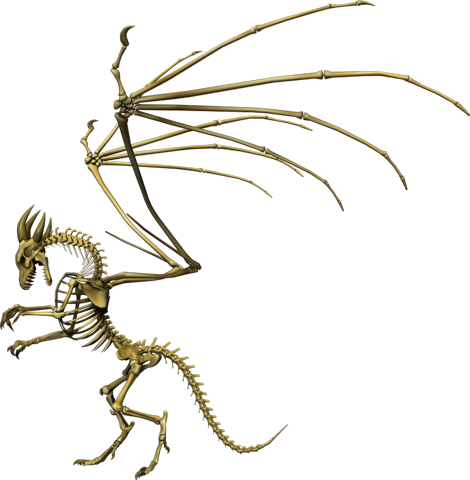 Скелет дракона с крыльями