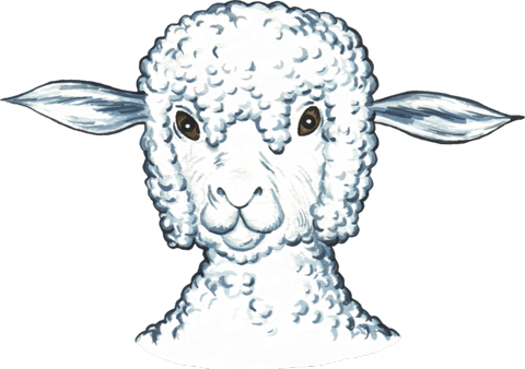 Рисунок голова овцы