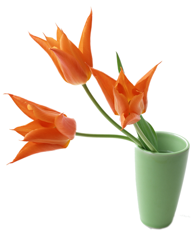 Тюльпаны, красивые, ваза