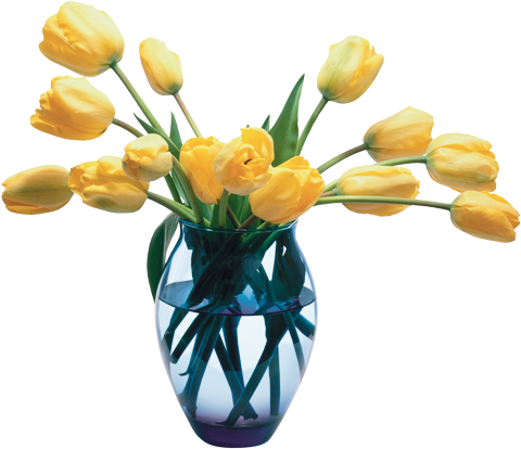 Тюльпаны в вазе с водой