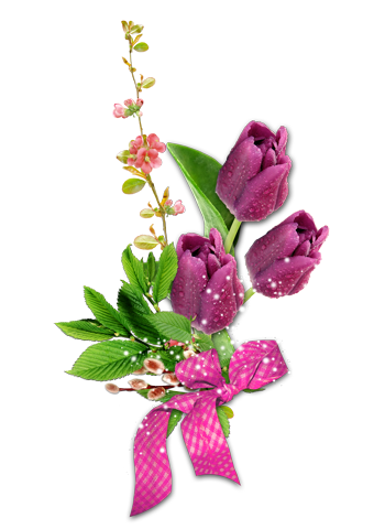 Три фиолетовых тюльпана
