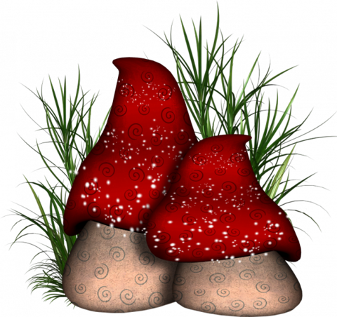 Два гриба с красной шляпой