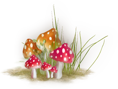 Картинка лужайка с грибами