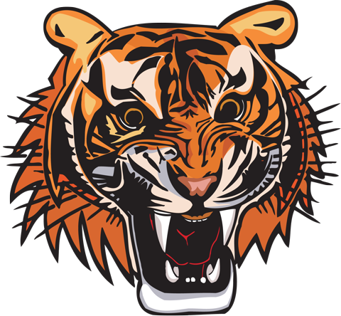 Рисунок голова тигра