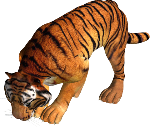 3Д тигр, картинка