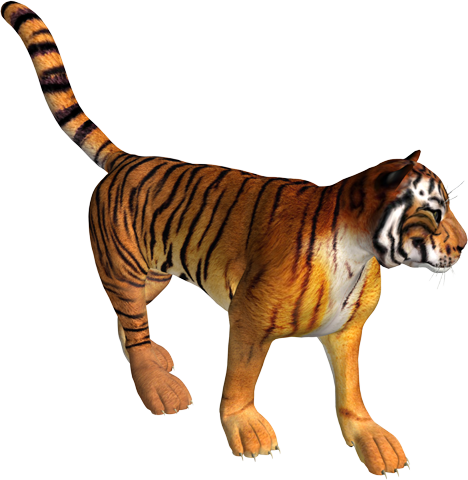Объемный тигр 3Д