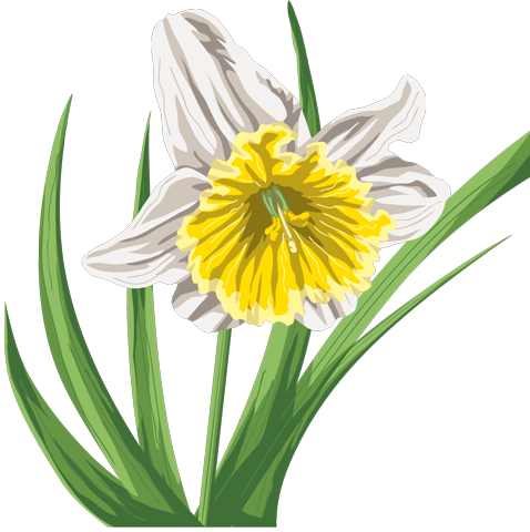 Рисунок с цветком