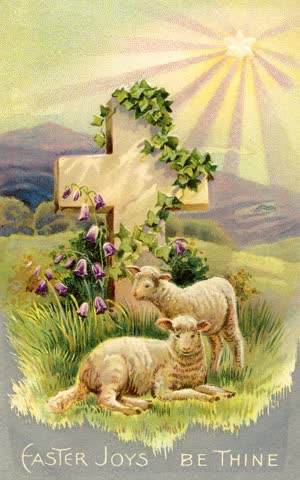 Овцы, крест, праздник