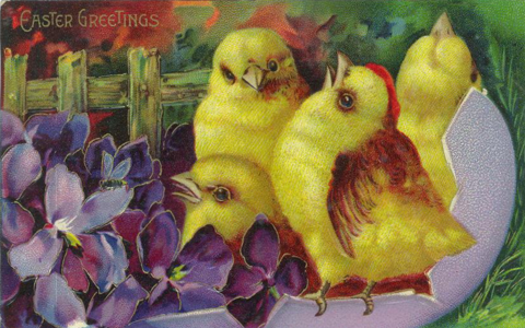 Рисунок с цыплятами