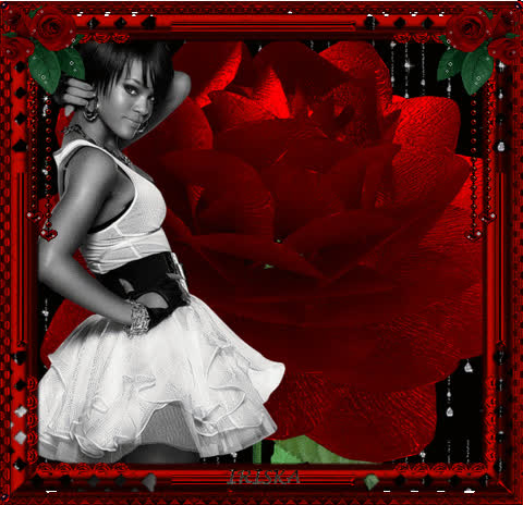 Красная роза – дыхание страсти
