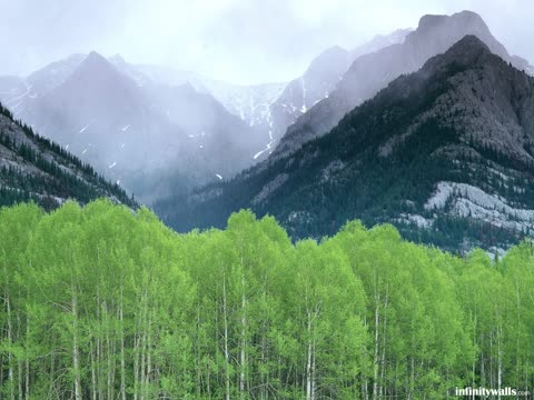 Зеленые деревья, горы