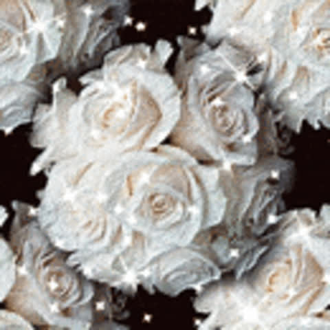 Фон с белыми розами