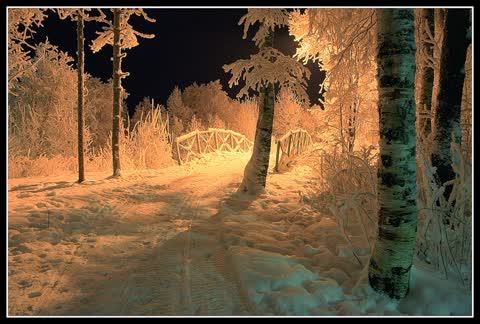 Зима, ночь, фото, дорога