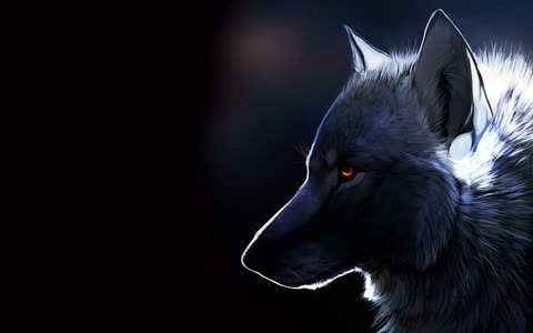 Волк на черном фоне