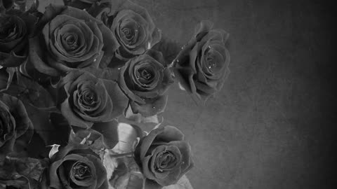 Букет из роз, цветы