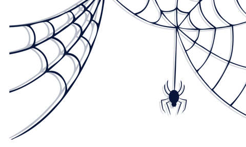 Картинка паук с паутиной