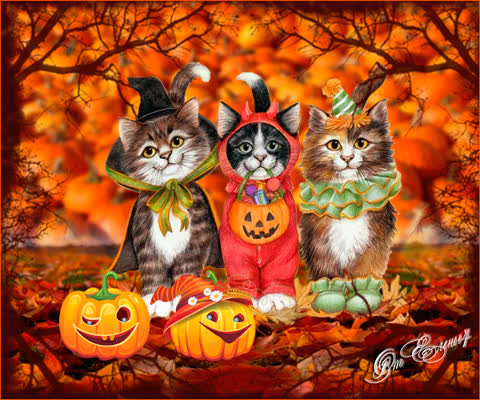 Три кошки, праздник Хэллоуин