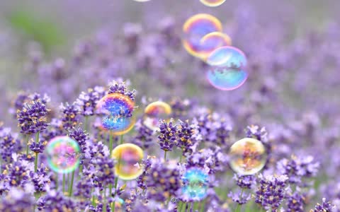 Мыльные пузыри, цветочки, фон