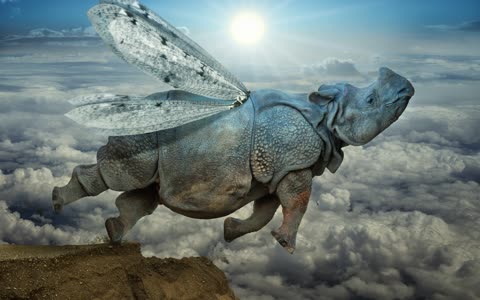 Летающий носорог с крыльями