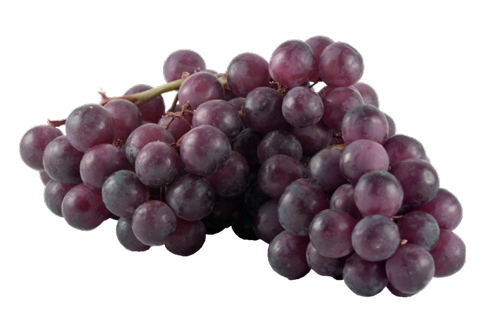 Клипарт виноград