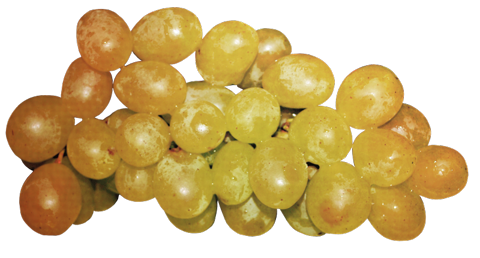 Желтый виноград