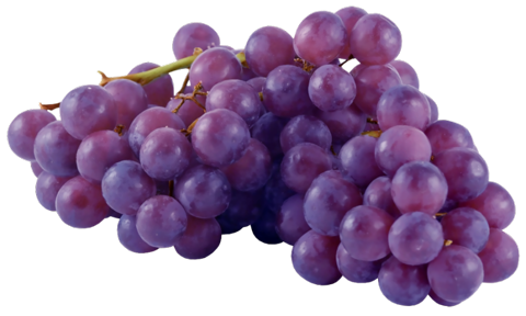 Простой виноград