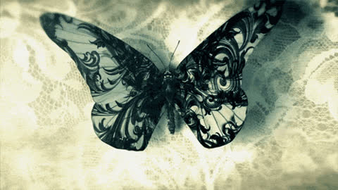 Красивая, бабочка, 3Д