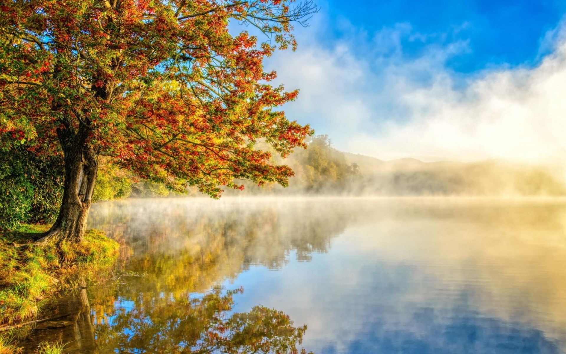 Осенний туман над озером