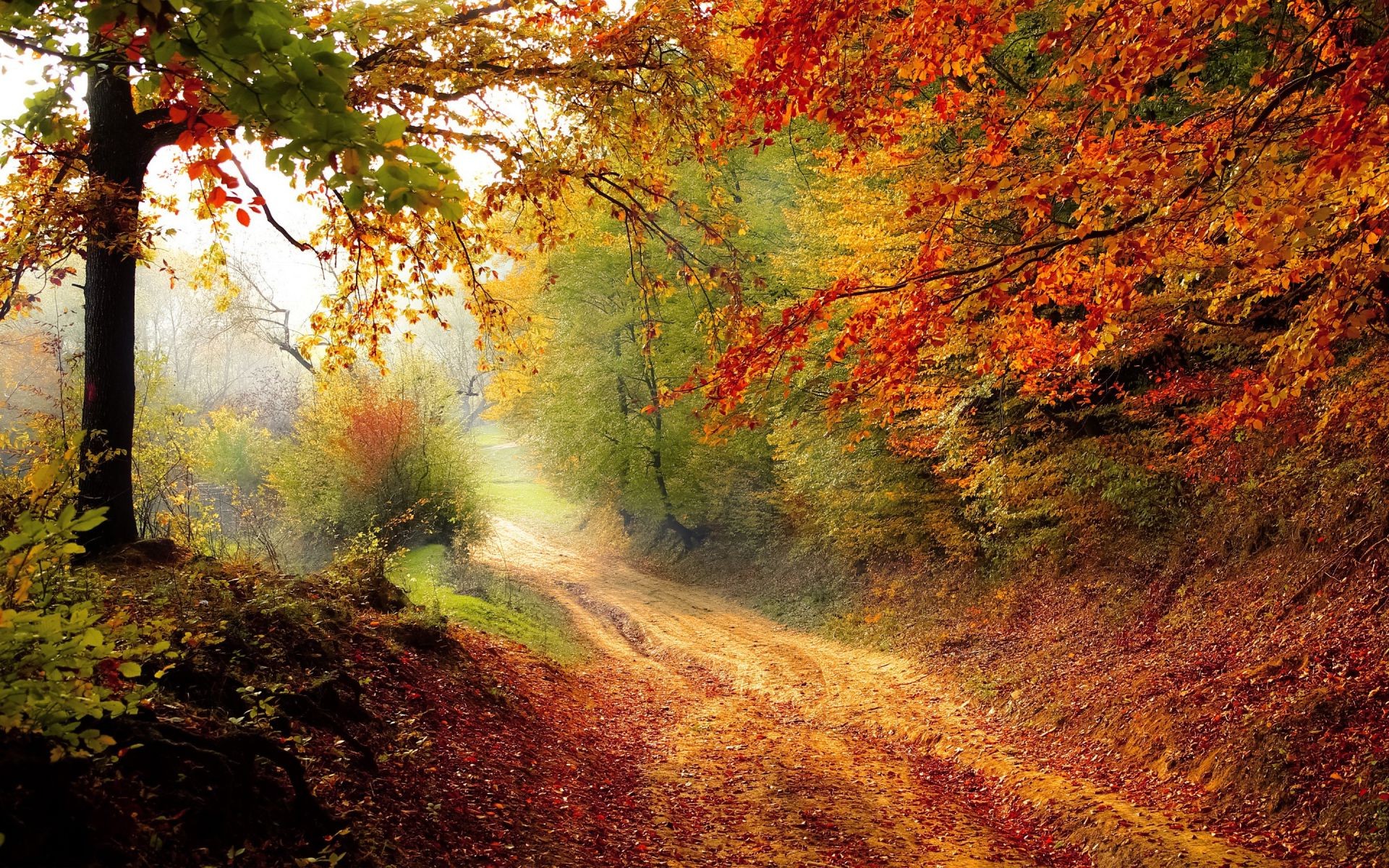 Осенняя природа - Природа - Обои на рабочий стол - Галерейка
