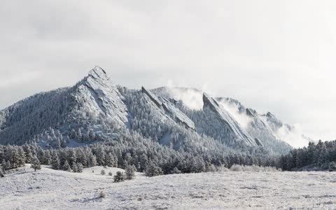 Горы и лес зимой